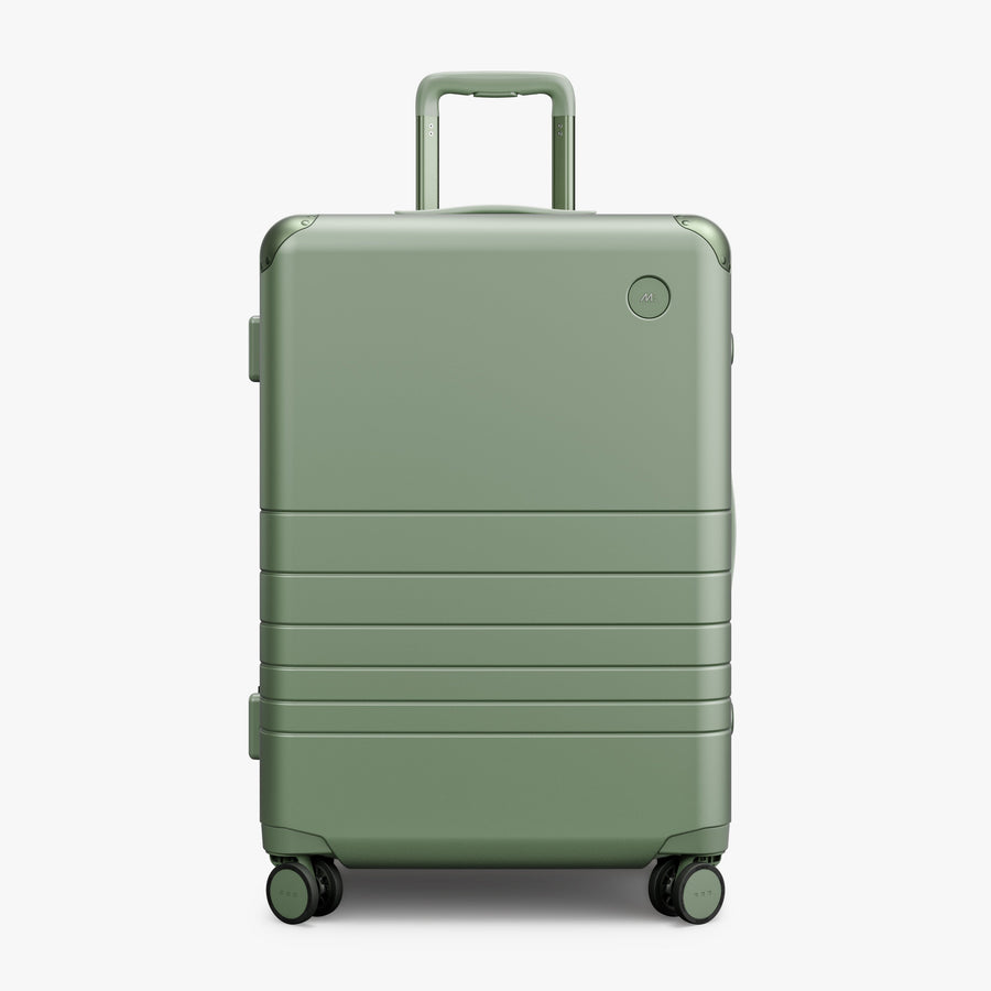 Mint | Front view of Hybrid Check-In Medium in Mint